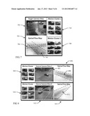 MULTI-VIEW OBJECT DETECTION USING APPEARANCE MODEL TRANSFER FROM SIMILAR     SCENESAANM Feris; Rogerio S.AACI White PlainsAAST NYAACO USAAGP Feris; Rogerio S. White Plains NY USAANM Pankanti; Sharathchandra U.AACI DarienAAST CTAACO USAAGP Pankanti; Sharathchandra U. Darien CT USAANM Siddiquie; BehjatAACI College ParkAAST MDAACO USAAGP Siddiquie; Behjat College Park MD US diagram and image