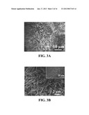 METHODS FOR SYNTHESIZING METAL OXIDE NANOWIRESAANM Sunkara; Mahendra KumarAACI LouisvilleAAST KYAACO USAAGP Sunkara; Mahendra Kumar Louisville KY USAANM Kumar; VivekanandAACI LouisvilleAAST KYAACO USAAGP Kumar; Vivekanand Louisville KY USAANM Kim; Jeong H.AACI LouisvilleAAST KYAACO USAAGP Kim; Jeong H. Louisville KY USAANM Clark; Ezra LeeAACI LouisvilleAAST KYAACO USAAGP Clark; Ezra Lee Louisville KY US diagram and image