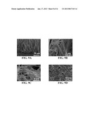 METHODS FOR SYNTHESIZING METAL OXIDE NANOWIRESAANM Sunkara; Mahendra KumarAACI LouisvilleAAST KYAACO USAAGP Sunkara; Mahendra Kumar Louisville KY USAANM Kumar; VivekanandAACI LouisvilleAAST KYAACO USAAGP Kumar; Vivekanand Louisville KY USAANM Kim; Jeong H.AACI LouisvilleAAST KYAACO USAAGP Kim; Jeong H. Louisville KY USAANM Clark; Ezra LeeAACI LouisvilleAAST KYAACO USAAGP Clark; Ezra Lee Louisville KY US diagram and image