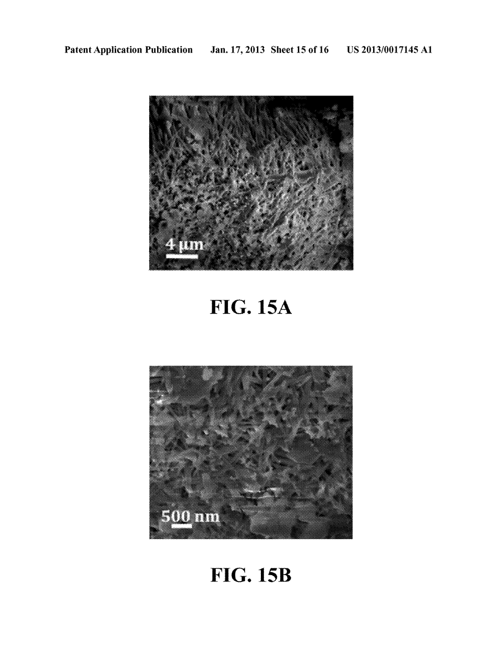 METHODS FOR SYNTHESIZING METAL OXIDE NANOWIRESAANM Sunkara; Mahendra KumarAACI LouisvilleAAST KYAACO USAAGP Sunkara; Mahendra Kumar Louisville KY USAANM Kumar; VivekanandAACI LouisvilleAAST KYAACO USAAGP Kumar; Vivekanand Louisville KY USAANM Kim; Jeong H.AACI LouisvilleAAST KYAACO USAAGP Kim; Jeong H. Louisville KY USAANM Clark; Ezra LeeAACI LouisvilleAAST KYAACO USAAGP Clark; Ezra Lee Louisville KY US - diagram, schematic, and image 16