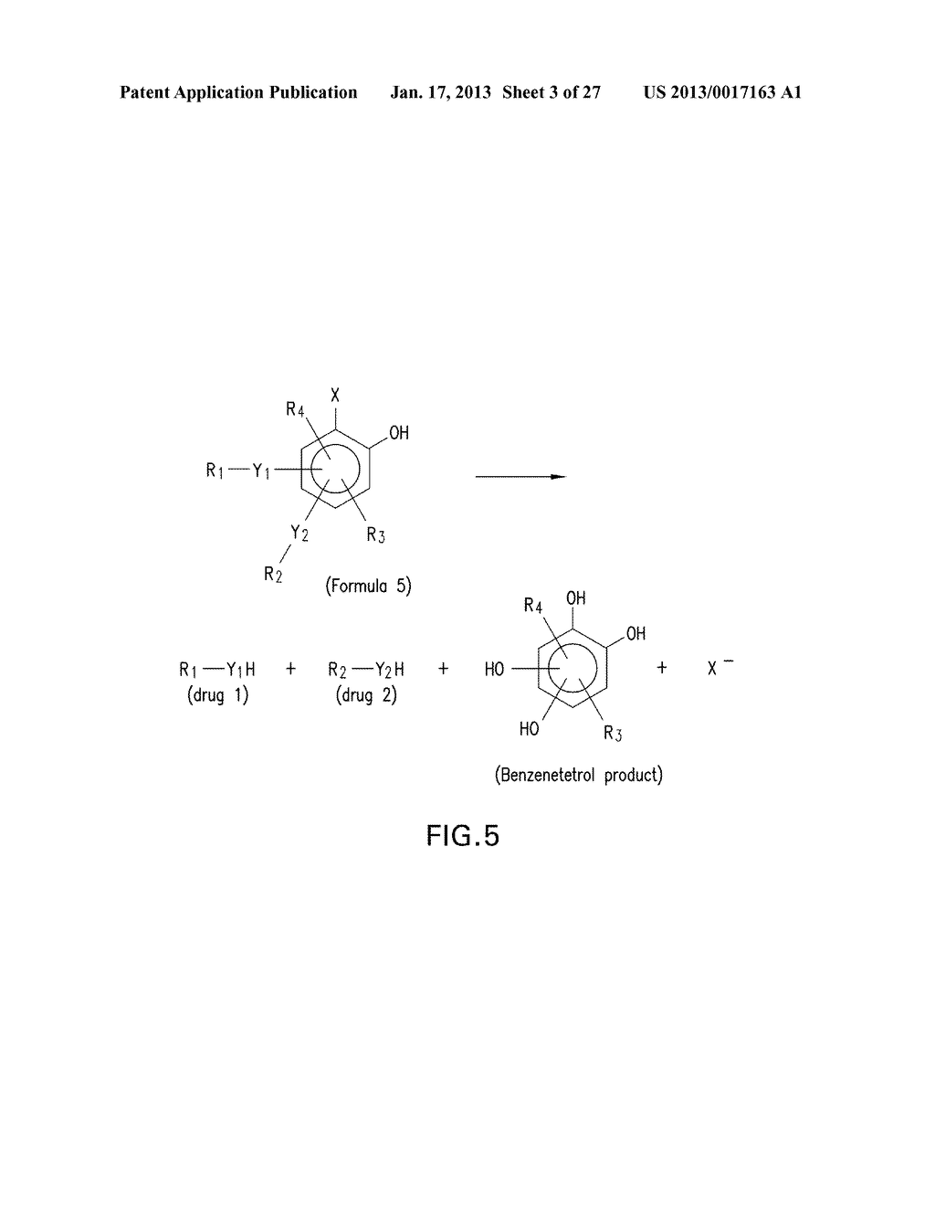 HALOGENATED PHENOLS FOR DIAGNOSTICS, ANTIOXIDANT PROTECTION AND DRUG     DELIVERY - diagram, schematic, and image 04