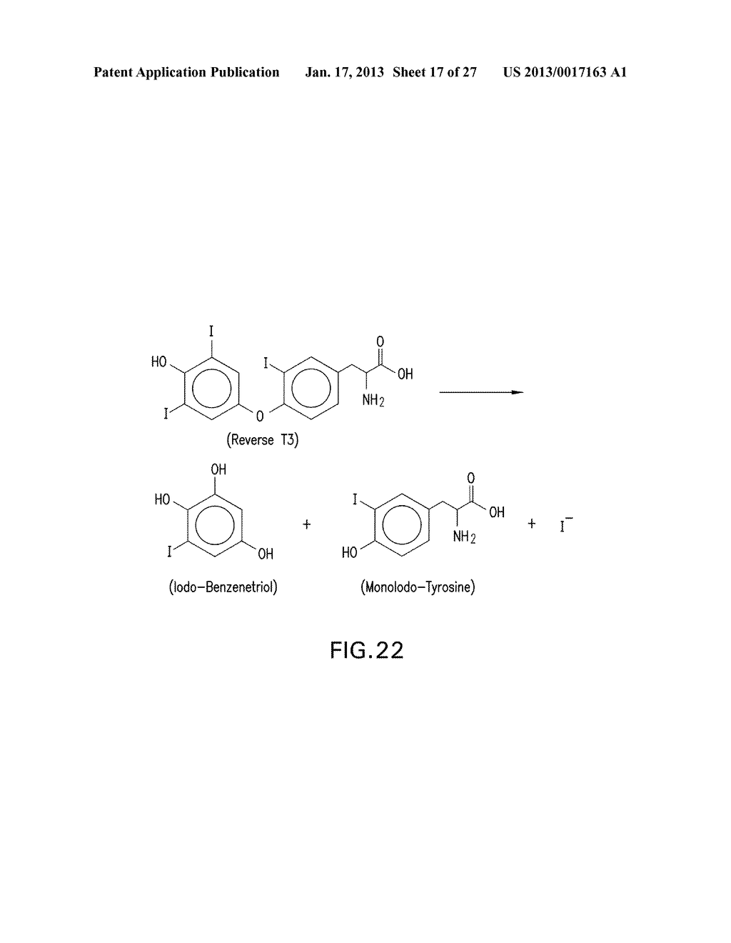 HALOGENATED PHENOLS FOR DIAGNOSTICS, ANTIOXIDANT PROTECTION AND DRUG     DELIVERY - diagram, schematic, and image 18