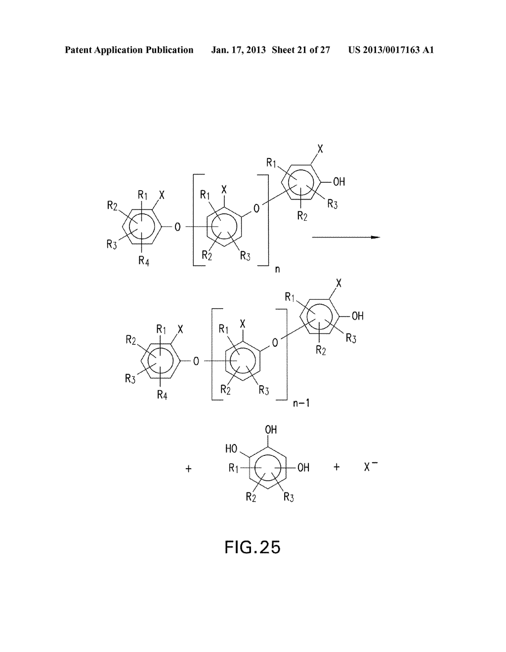 HALOGENATED PHENOLS FOR DIAGNOSTICS, ANTIOXIDANT PROTECTION AND DRUG     DELIVERY - diagram, schematic, and image 22