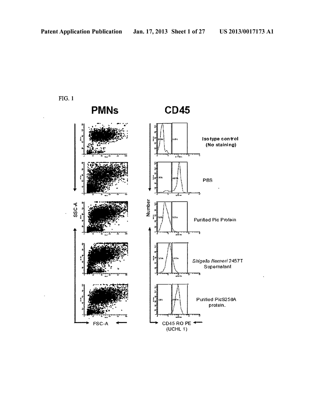 NOVEL COMPOSITIONS AND METHODS FOR TREATING INFLAMMATORY BOWEL DISEASE AND     AIRWAY INFLAMMATION - diagram, schematic, and image 02