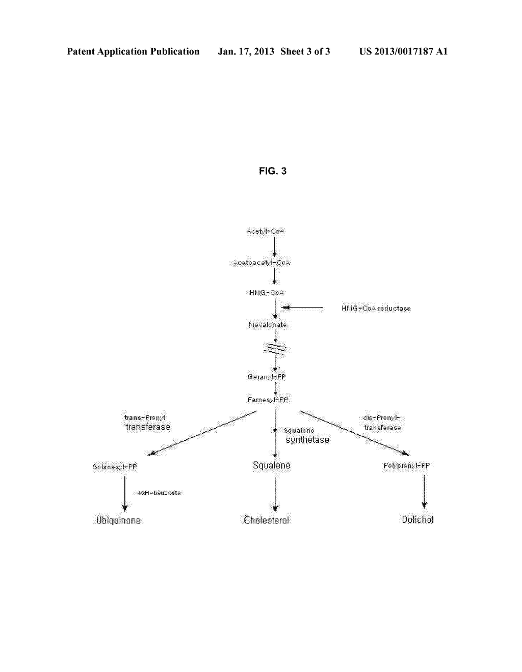 PHARMACOLOGICAL COMPOSITION WHEREBY STATIN AND COQ10 COMPOUNDS ARE     ENHANCEDAANM Pyo; Young-HeeAACI Gwangju-siAACO KRAAGP Pyo; Young-Hee Gwangju-si KR - diagram, schematic, and image 04