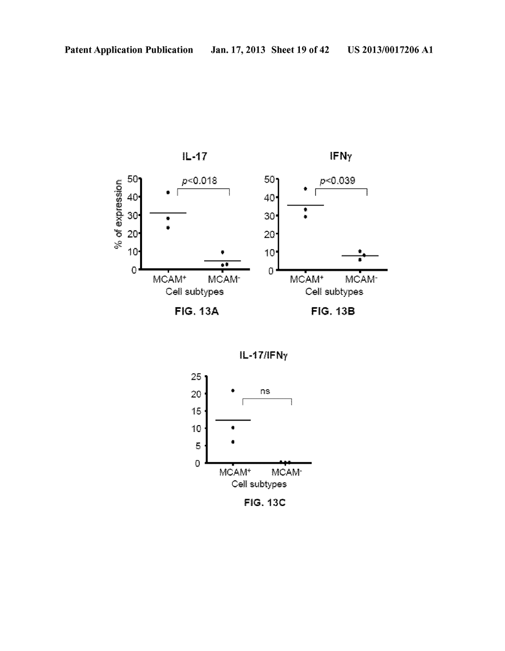 MCAM MODULATION AND USES THEREOF - diagram, schematic, and image 20