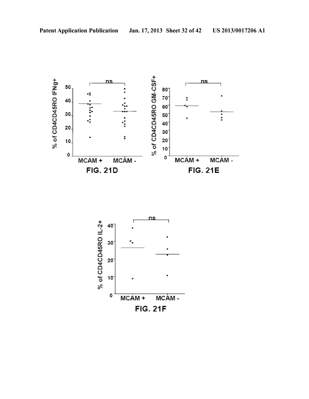 MCAM MODULATION AND USES THEREOF - diagram, schematic, and image 33