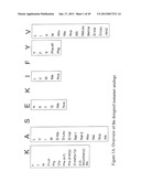 PEPTIDE ANALOGUES diagram and image