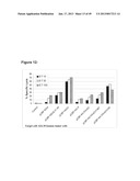 PEPTIDE ANALOGUES diagram and image