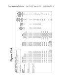 PEPTIDE ANALOGUES diagram and image