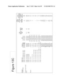 PEPTIDE ANALOGUES diagram and image