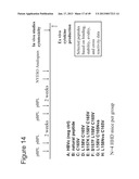 PEPTIDE ANALOGUES diagram and image