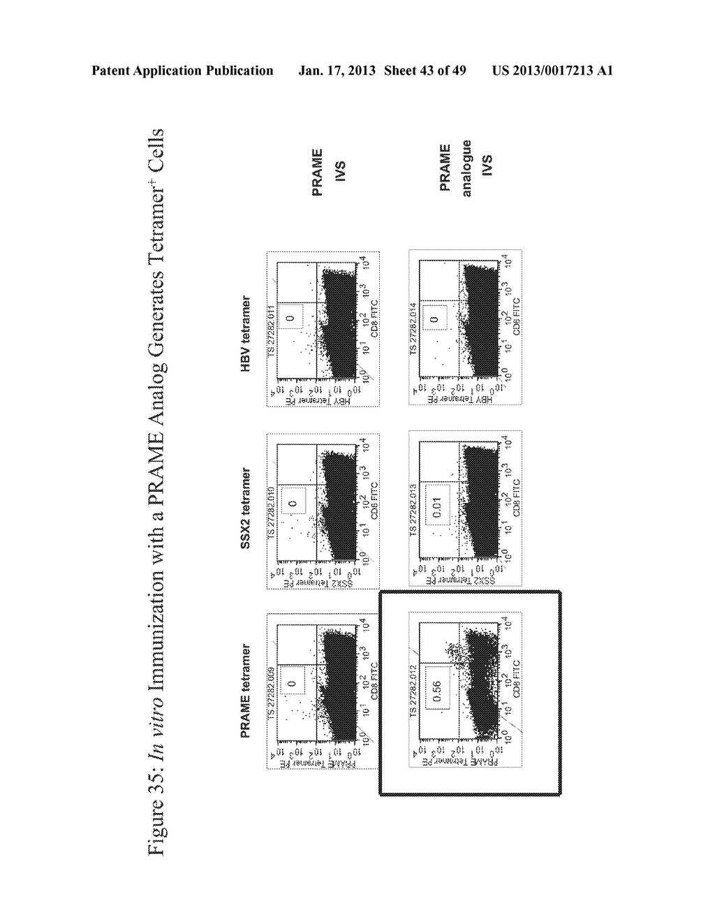 PEPTIDE ANALOGUES - diagram, schematic, and image 44