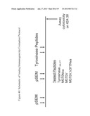 PEPTIDE ANALOGUES diagram and image