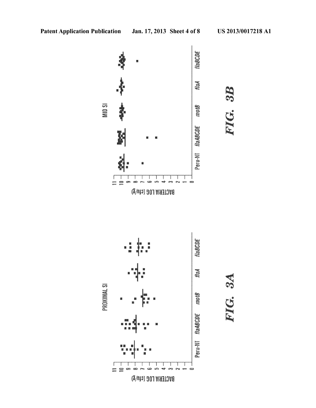 LIVE BACTERIAL VACCINE SAFETY - diagram, schematic, and image 05