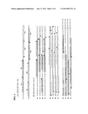 PRIMERS FOR DETECTING PLASMODIUM diagram and image