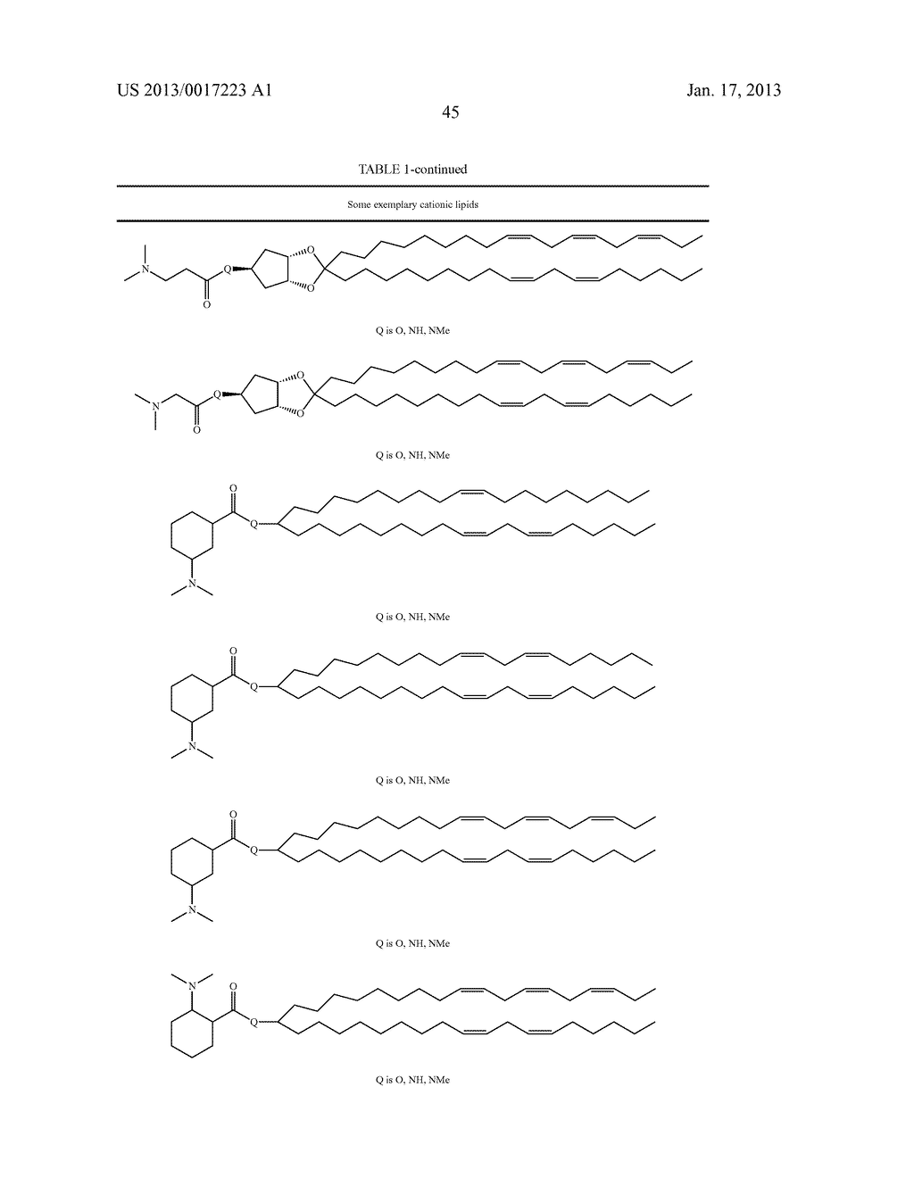 METHODS AND COMPOSITIONS FOR DELIVERY OF NUCLEIC ACIDS - diagram, schematic, and image 51