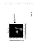 Nucleic Acid Molecules Encoding Rantes, and Compositions Comprising and     Methods of Using the Same diagram and image