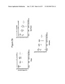 Nucleic Acid Molecules Encoding Rantes, and Compositions Comprising and     Methods of Using the Same diagram and image