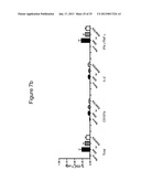 Nucleic Acid Molecules Encoding Rantes, and Compositions Comprising and     Methods of Using the Same diagram and image