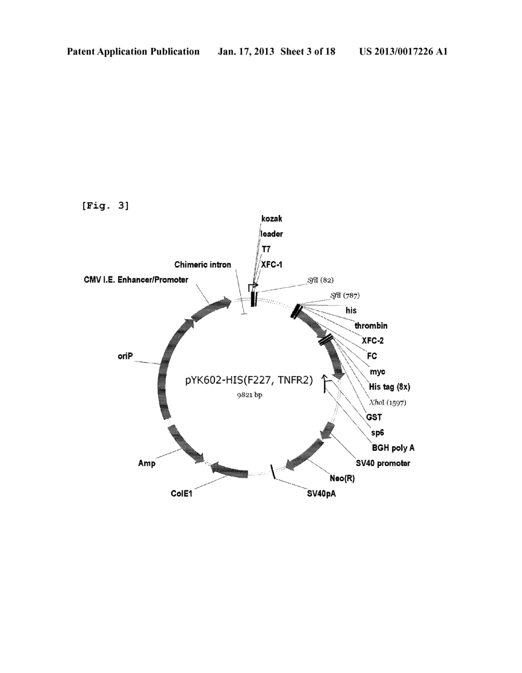 TNF-A and TWEAK Dual Antagonist for the Prophylaxis and Treatment of     Autoimmune DiseasesAANM Park; Young WooAACI DaejeonAACO KRAAGP Park; Young Woo Daejeon KRAANM Jo; Ki WonAACI Gyeonggi-doAACO KRAAGP Jo; Ki Won Gyeonggi-do KRAANM Yoo; Srok HoAACI DaejeonAACO KRAAGP Yoo; Srok Ho Daejeon KRAANM Yu; JungAACI DaejeonAACO KRAAGP Yu; Jung Daejeon KRAANM Kim; Dong JiAACI DaejeonAACO KRAAGP Kim; Dong Ji Daejeon KRAANM Yoon; Sun-HaAACI DaejeonAACO KRAAGP Yoon; Sun-Ha Daejeon KRAANM Song; Eun JungAACI DaejeonAACO KRAAGP Song; Eun Jung Daejeon KRAANM Lee; Eun KyungAACI Gyeonggi-doAACO KRAAGP Lee; Eun Kyung Gyeonggi-do KRAANM Oh; Jin MiAACI Gyeonggi-doAACO KRAAGP Oh; Jin Mi Gyeonggi-do KRAANM Cho; Kyu WonAACI SeoulAACO KRAAGP Cho; Kyu Won Seoul KRAANM Cho; Mi LaAACI SeoulAACO KRAAGP Cho; Mi La Seoul KRAANM Kim; Ho YounAACI SeoulAACO KRAAGP Kim; Ho Youn Seoul KRAANM Park; Mi KyungAACI Gyeonggi-doAACO KRAAGP Park; Mi Kyung Gyeonggi-do KRAANM Oh; Hye JwaAACI SeoulAACO KRAAGP Oh; Hye Jwa Seoul KRAANM Park; Jin SilAACI SeoulAACO KRAAGP Park; Jin Sil Seoul KRAANM Woo; Yun JuAACI SeoulAACO KRAAGP Woo; Yun Ju Seoul KRAANM Byun; Jae KyeongAACI Chungcheongbuk-doAACO KRAAGP Byun; Jae Kyeong Chungcheongbuk-do KRAANM Ryu; Jun GeolAACI Gangwon-doAACO KRAAGP Ryu; Jun Geol Gangwon-do KR - diagram, schematic, and image 04