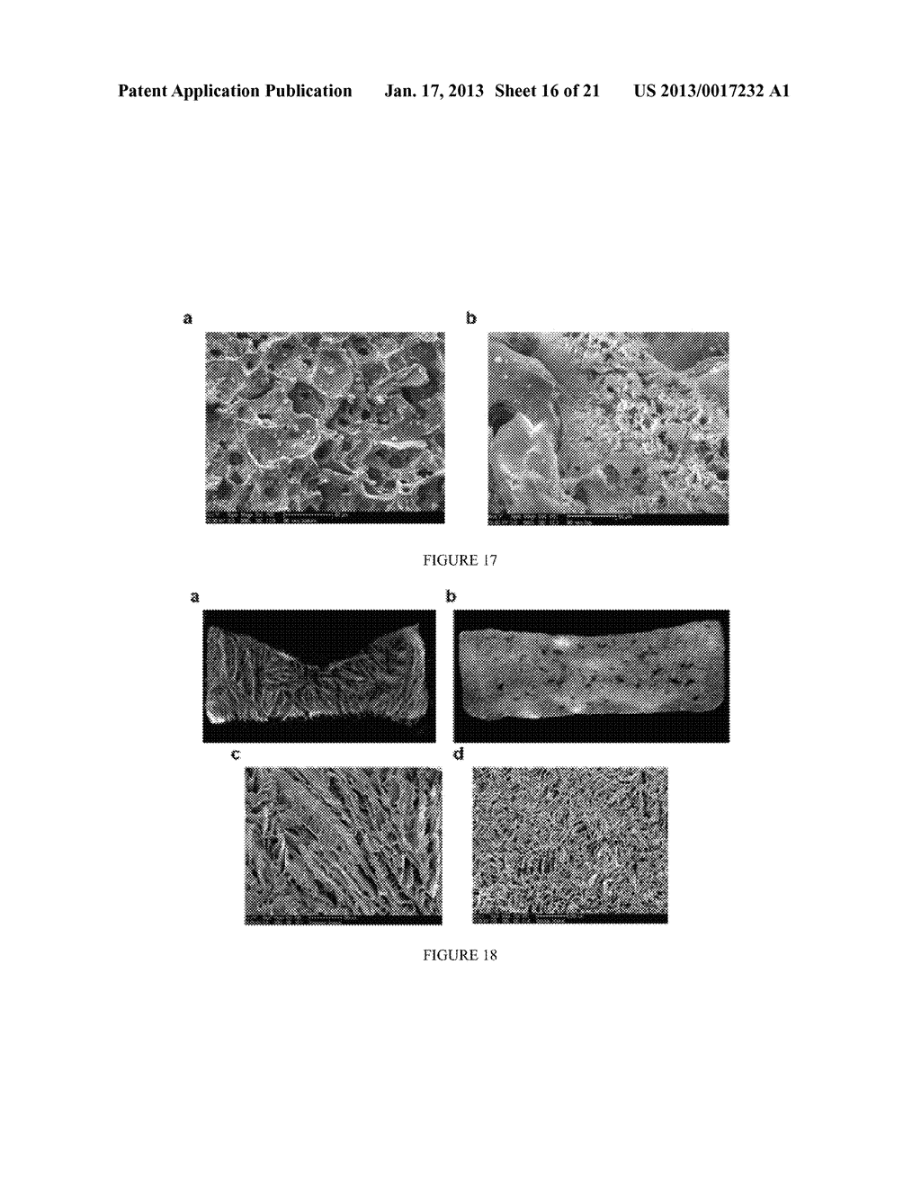 SYNTHETIC BONE GRAFTS - diagram, schematic, and image 17