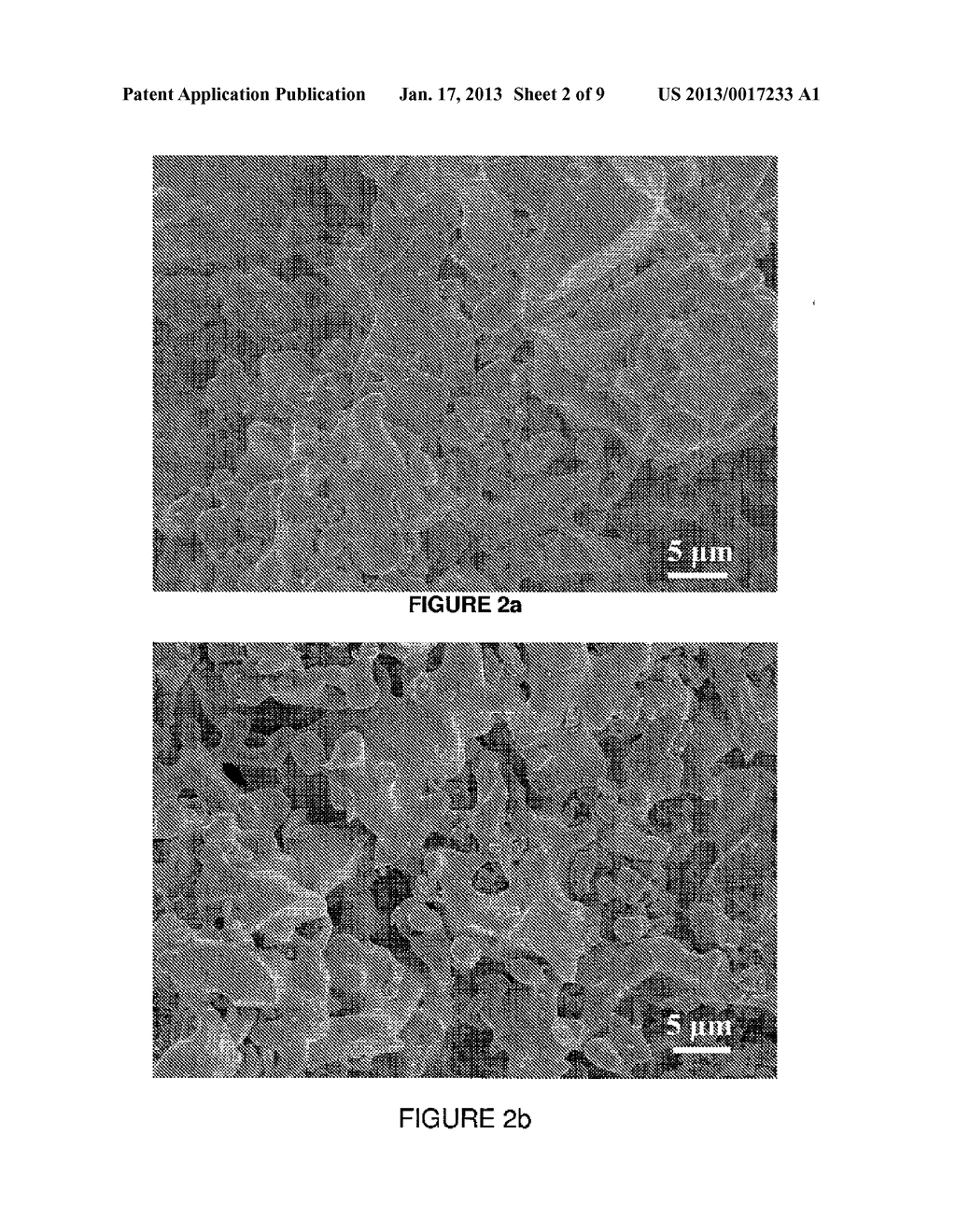 Tricalcium Phosphate Coarse Particle Compositions and Methods for Making     the Same - diagram, schematic, and image 03