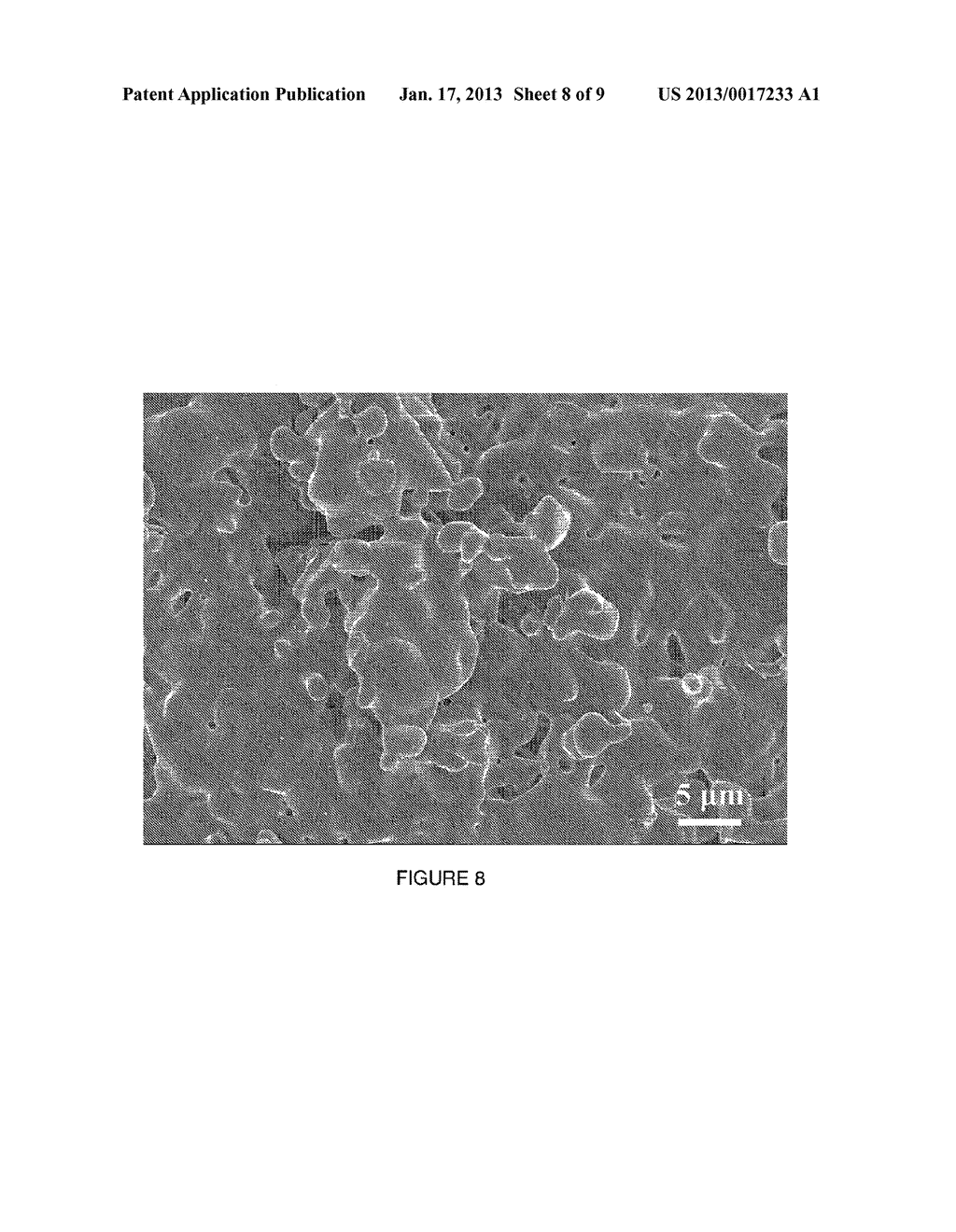 Tricalcium Phosphate Coarse Particle Compositions and Methods for Making     the Same - diagram, schematic, and image 09
