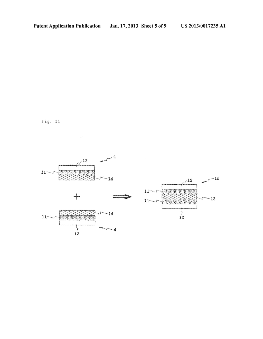 ORALLY ADMINISTERED AGENT AND AN ORALLY ADMINISTERED AGENT/SUPPORTING     SUBSTRATE COMPLEX - diagram, schematic, and image 06