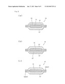 ORALLY ADMINISTERED AGENT AND AN ORALLY ADMINISTERED AGENT/SUPPORTING     SUBSTRATE COMPLEX diagram and image