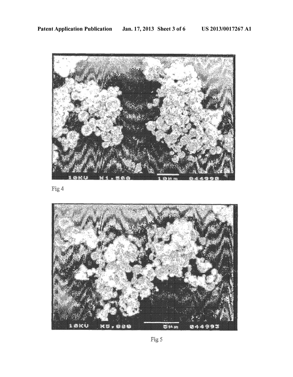 METHOD OF MAKING PARTICLES FOR USE IN A PHARMACEUTICAL COMPOSITION - diagram, schematic, and image 04