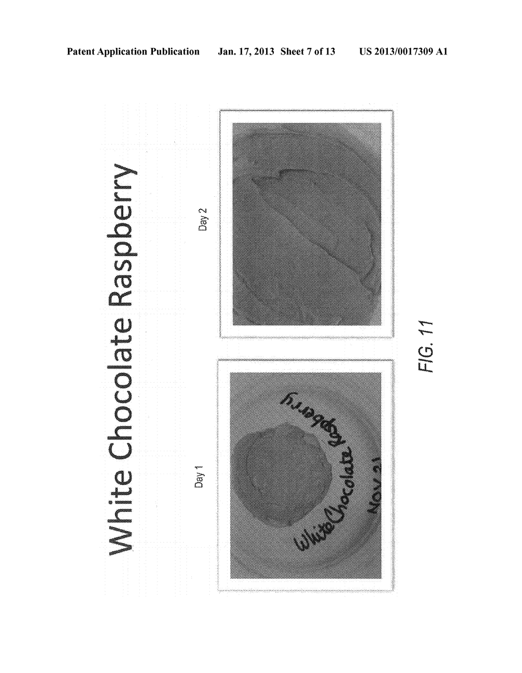 FROSTING SYSTEMS AND RELATED METHODS AND DISPLAY UNITS - diagram, schematic, and image 08