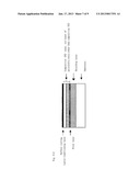 PROPYLENE BASED RESIN COMPOSITION AND USE THEREOF diagram and image