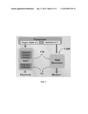 INTEGRATED PHOTO-BIOELECTROCHEMICAL SYSTEMS diagram and image