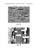 SOLID OXIDE FUEL CELL DEVICE AND SYSTEM diagram and image