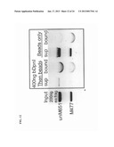 Methods and Compositions for Segregating Target Nucleic Acid from Mixed     Nucleic Acid Samples diagram and image