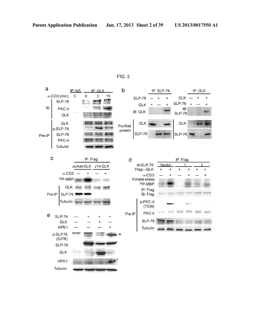 MAP KINASE KINASE KINASE KINASE 3 (MAP4K3) AS A BIOMARKER AND THERAPETIC     TARGET FOR AUTOIMMUNE DISEASE, CANCER, INFLAMMATION AND IL-17-ASSOCIATED     DISEASE - diagram, schematic, and image 03