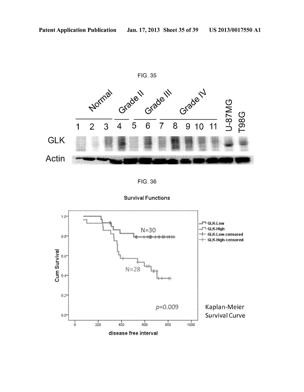 MAP KINASE KINASE KINASE KINASE 3 (MAP4K3) AS A BIOMARKER AND THERAPETIC     TARGET FOR AUTOIMMUNE DISEASE, CANCER, INFLAMMATION AND IL-17-ASSOCIATED     DISEASE - diagram, schematic, and image 36