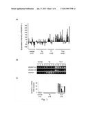 ADAM12 AS A BIOMARKER FOR BLADDER CANCER diagram and image