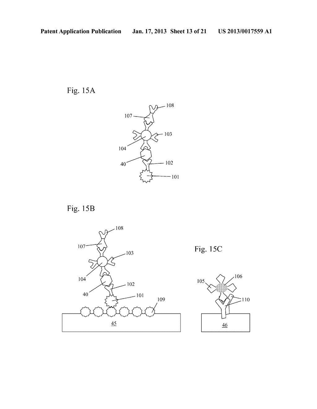 Lateral Flow Assays With Time Delayed Components - diagram, schematic, and image 14