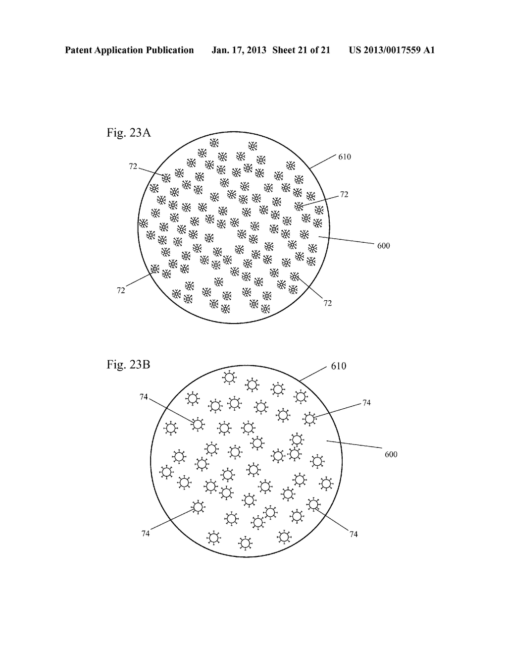 Lateral Flow Assays With Time Delayed Components - diagram, schematic, and image 22