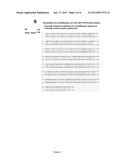 CODON MODIFIED POLYNUCLEOTIDE SEQUENCES FOR ENHANCED EXPRESSION IN A HOST     SYSTEM diagram and image