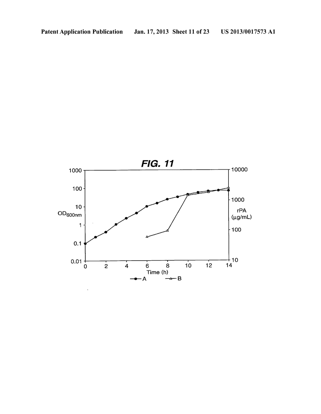 PREPARATION OF PROTECTIVE ANTIGEN - diagram, schematic, and image 12