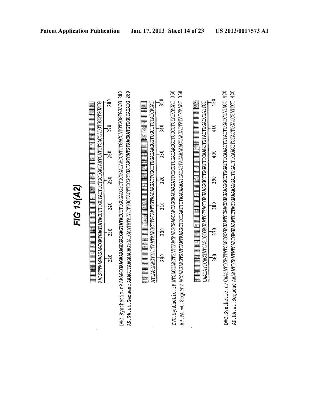 PREPARATION OF PROTECTIVE ANTIGEN - diagram, schematic, and image 15