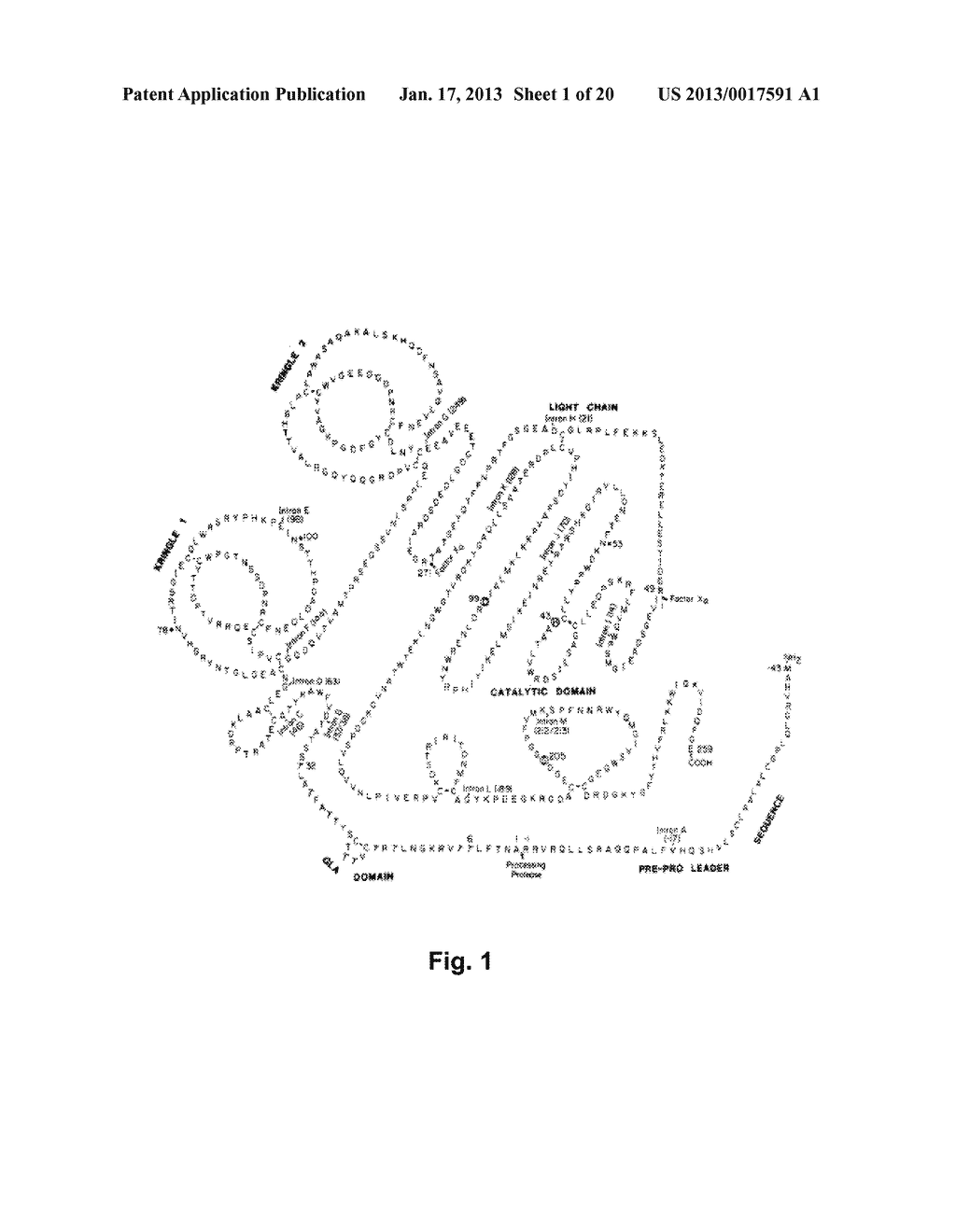 Method for the Preparation of Recombinant Human Thrombin and Fibrinogen - diagram, schematic, and image 02