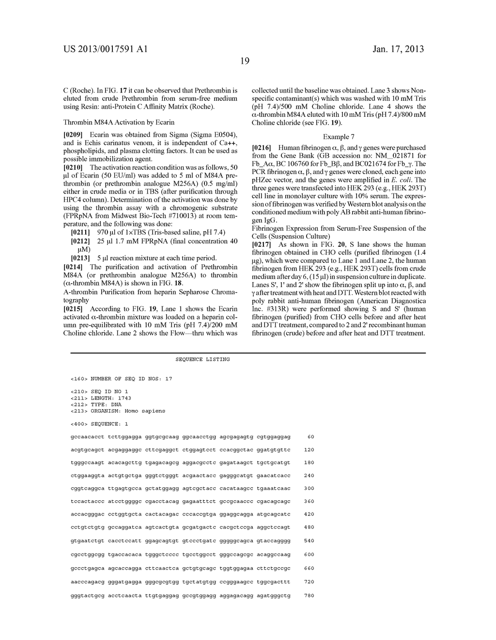 Method for the Preparation of Recombinant Human Thrombin and Fibrinogen - diagram, schematic, and image 40