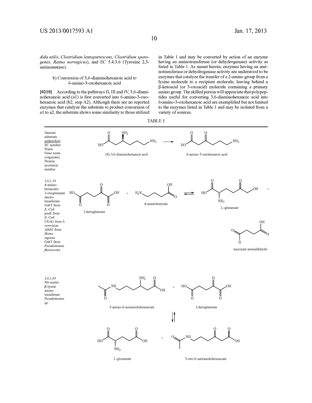 Biological Synthesis of Difunctional Hexanes and Pentanes from     Carbohydrate Feedstocks - diagram, schematic, and image 21