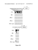 Polycistronic Vector for Human Induced Pluripotent Stem Cell Production diagram and image