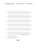 Polycistronic Vector for Human Induced Pluripotent Stem Cell Production diagram and image