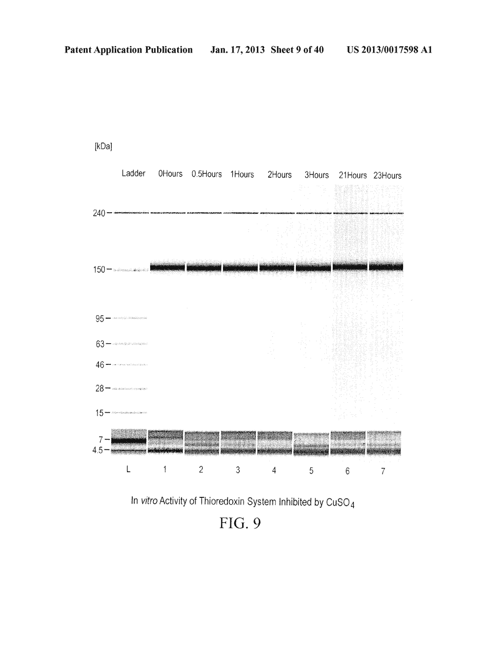 PREVENTION OF DISULFIDE BOND REDUCTION DURING RECOMBINANT PRODUCTION OF     POLYPEPTIDES - diagram, schematic, and image 10